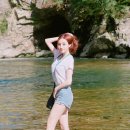 팔라(PALLA)
