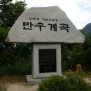 만수네 이미지
