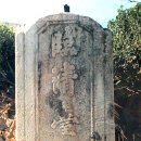 순천-77호 이미지