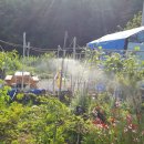 백여농장 이미지