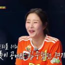 개벤져스 이미지