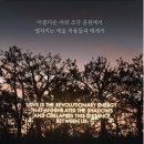 제주작은별 | 제주 안덕 포도뮤지엄 전시 후기 | <우리 이토록 작은 존재들> 제주 실내 가볼만한 곳!