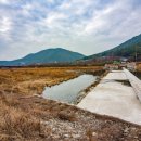 웅천초등학교(건너) 이미지