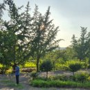 장현1리 이미지