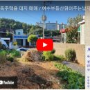 금호오션공인중개사사무소 이미지