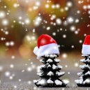 리밸런스 휘트니스 이미지