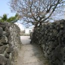 제주돌담 이미지