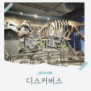 골프놀이터3 | 의왕 키즈카페 디스커버스 의왕 경기도 대형 실내놀이터 후기