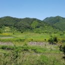 유치면사무소 이미지