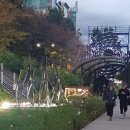 당현천산책로 | 노원구 당현천 가을 산책코스 [2025 노원달빛산책 미디어아트 후기] 상계역~중계역까지