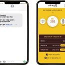 더스테 이미지