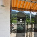 서피버거 | 거제 매미성 버거 찐맛집 "서피버거" - 다음날 또간집👍, 내돈내산, 솔직후기