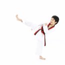 건강한태권도교육관 이미지