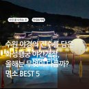 [2025 화성행궁 야간개장] 달빛 아래 꽃담 넘기 야간 산책