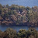 유니온파크 이미지