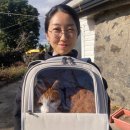 한림동물병원 이미지