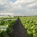 싱싱코리아 이미지