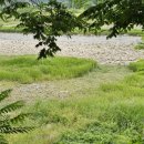 마당바위황토민박 이미지