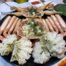 속초 대포항 맛집 은주네 활화산 활어 후기