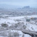 솔빛유정유치원 이미지