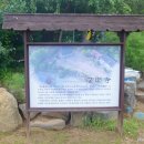 커피꽃향기 이미지