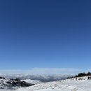 한라산콘도미니엄 | 한라산 영실코스 소요시간 후기 서귀포 더큐브 리조트 숙박