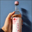 (재)제주테크노파크 바이오융합센터 | 20260325_1일1술: 기타주류, 동백꽃제주