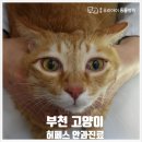중동 우리아이 동물병원 이미지