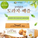 (주)대은바이오 이미지