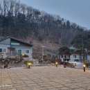 시고르까사 이미지