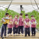 곡성유치원 이미지