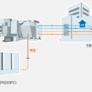 해럴드플랜트
