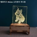 엠와이즈 이미지