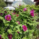 함평 경회루 이미지