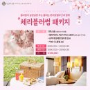 체리휘트니스클럽 이미지