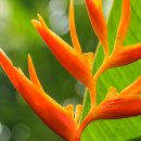 농업회사법인 효향 이미지