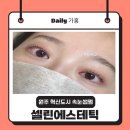 셀린에스테틱 - 원주시 | 셀린에스테틱