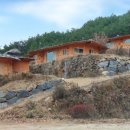 자연속의흙집 이미지