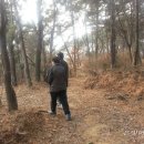 웅북초 이미지