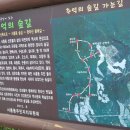 서호동-13 Daum카페