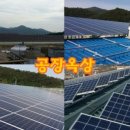 해바라기태양광발전소 이미지