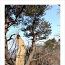 삼기면 괴소리 마을회관 | 곡성 초악산(鷦岳山)▲