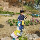 금대초등학교 이미지