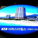 갈바스타