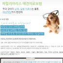 삼성애견 이미지