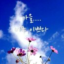 예쁜하루 이미지