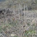 화천농장 이미지