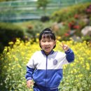 부산유치원 이미지