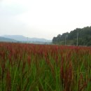 주암농장 이미지