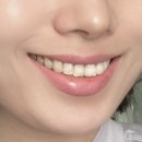 너티체리 이미지